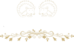 albergo diffuso lunigiana